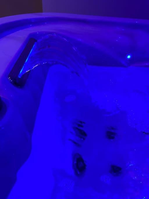 Maison Avec Jacuzzi オランジュ エクステリア 写真